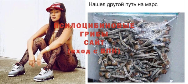 СК Абинск